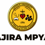 Director of Information Communication Technology (ICT) Jobs at CUHAS