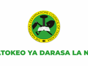 Matokeo ya Darasa la Nne 2025-26 NECTA