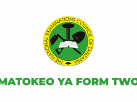 Matokeo ya Kidato cha Pili 2025-26 NECTA