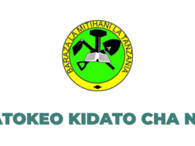 NECTA Form Four (CSEE) Results Guide 2025/2026