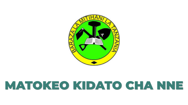 NECTA Form Four (CSEE) Results Guide 2025/2026